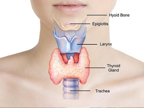 Thyroid disorders