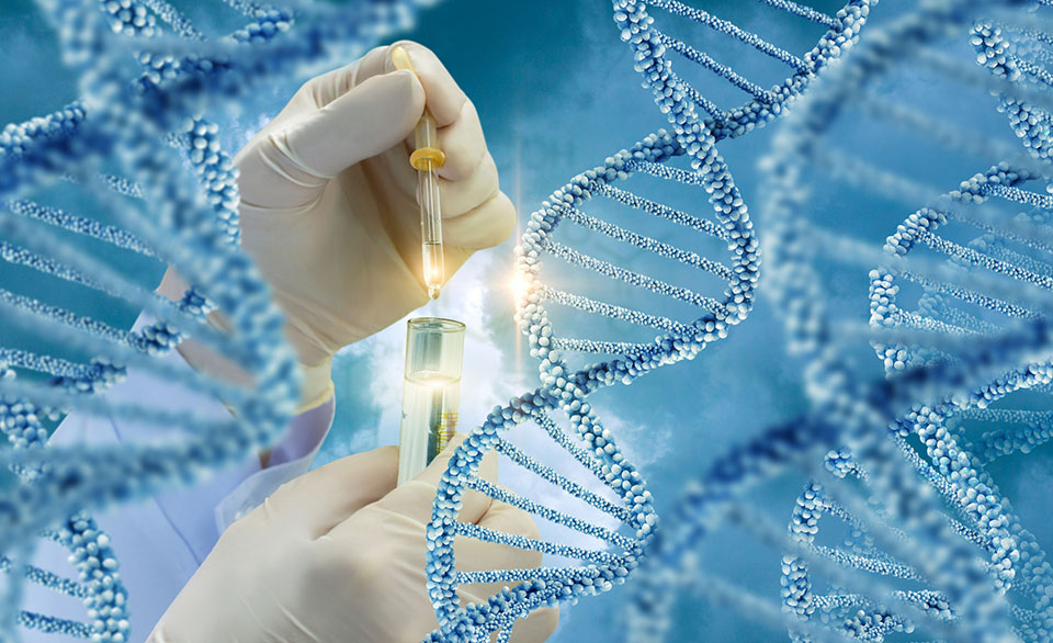 genetic testing concept showing a person with a test tube behind DNA molecules